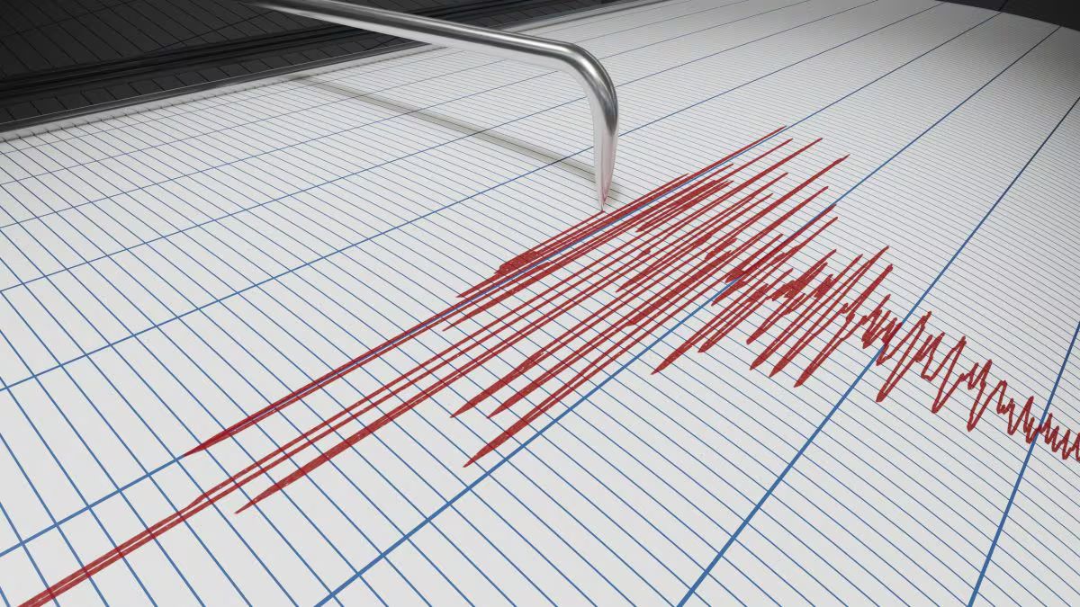 Nuovo Sciame Sismico Ai Campi Flegrei Terremoti