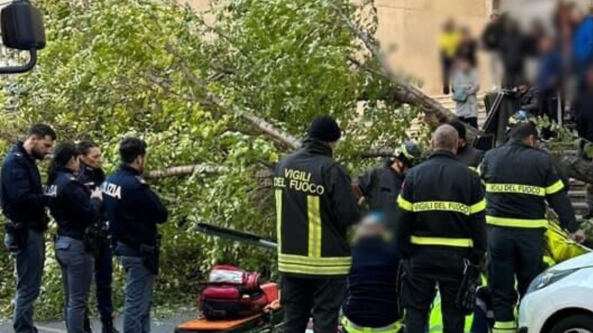 Maltempo, è Tragedia: Donna Muore Sotto Un Albero - The Social Post