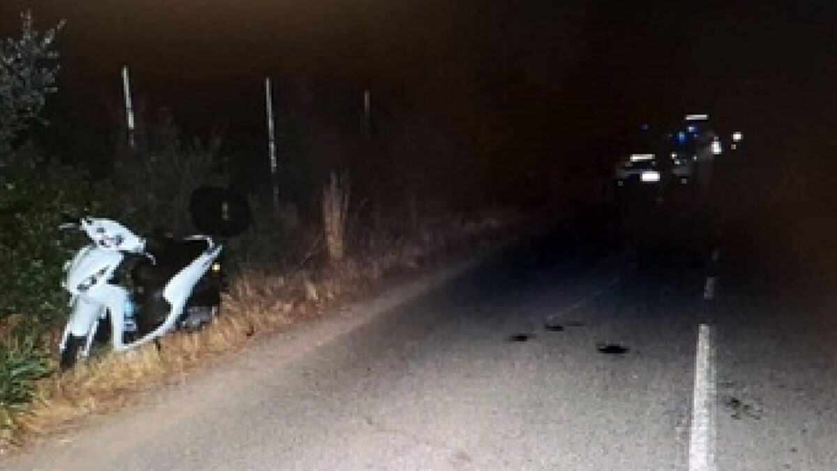 Incidente mortale in Sardegna, un cervo gli taglia la strada e Gianfranco viene sbalzato dallo via scooter