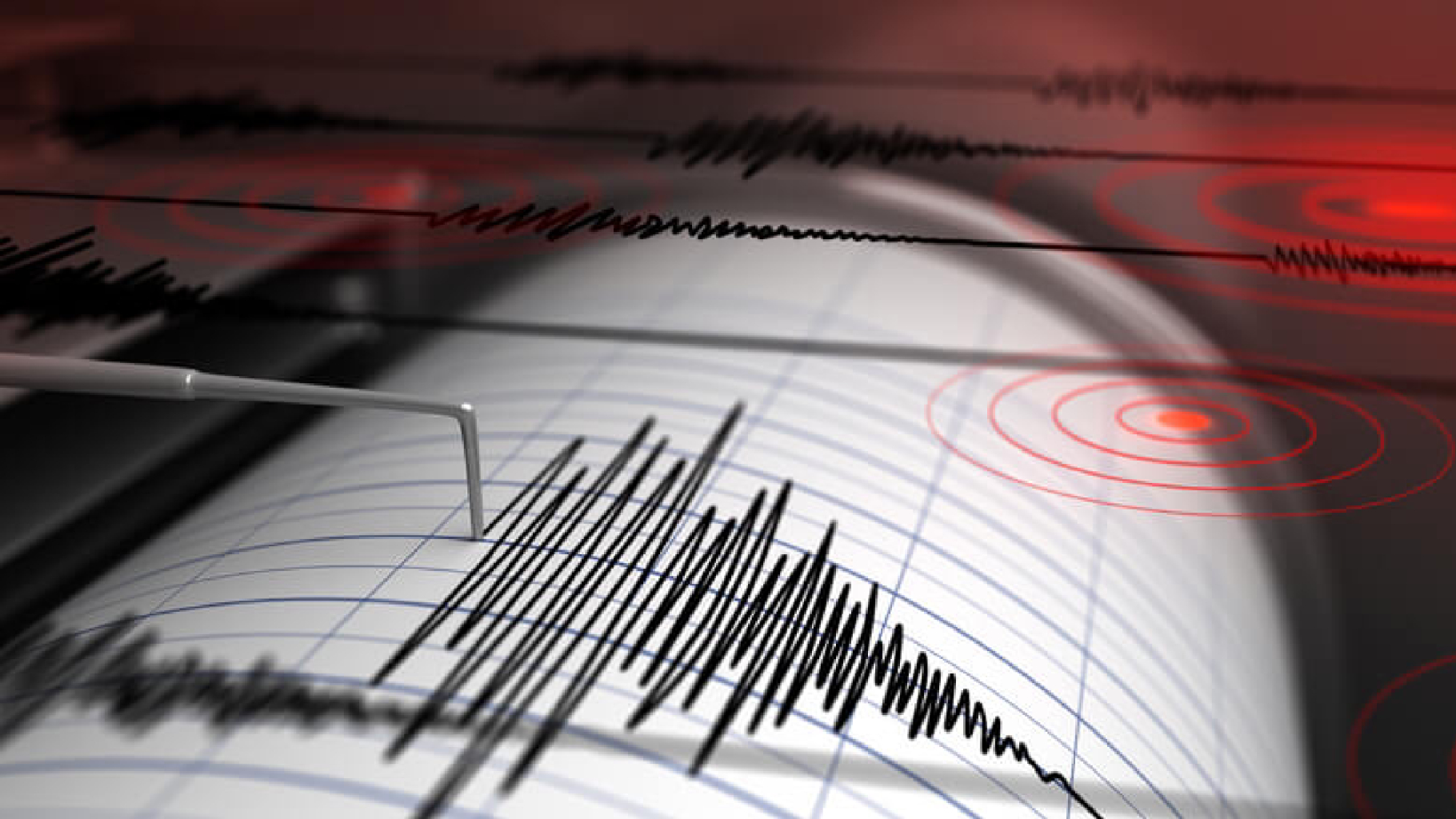 Terremoto violentissimo 