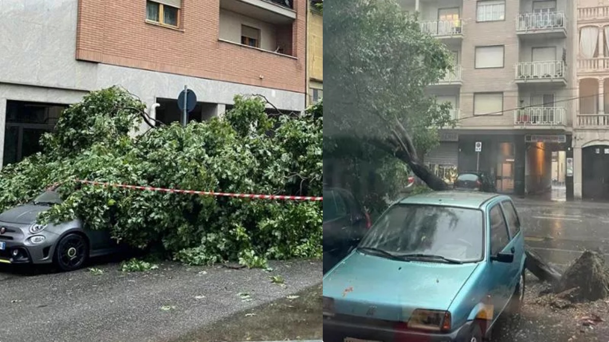Torino emergenza maltempo: alberi sulle auto, grandine e allagamenti