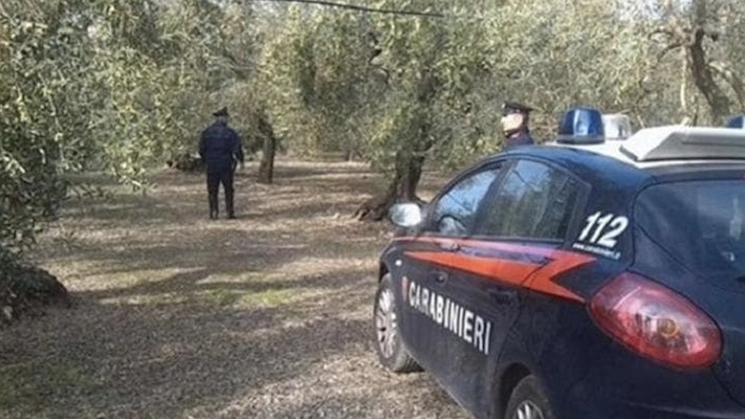 Bari, bimbo di 3 anni si perde in campagna: ritrovato sotto un albero dai carabinieri