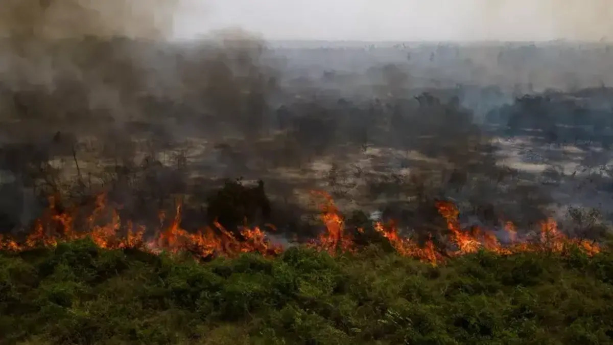 Incendi estremi 