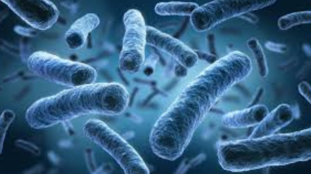 Legionella, è emergenza: 56 casi, 5 persone in ospedale e 4 decessi