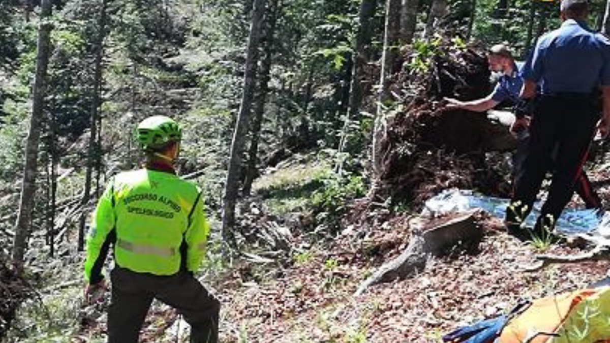 Simon Vasile Florin viene colpito in testa da un tronco appena tagliato, muore a 24 anni