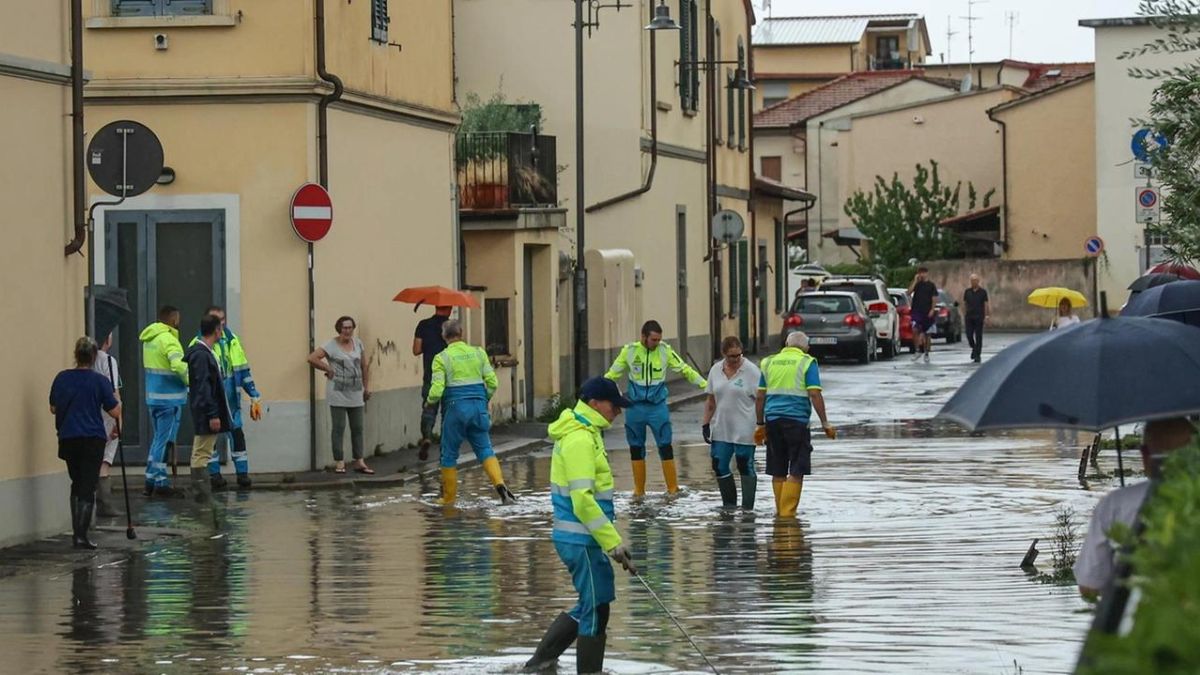 Campi rivive 