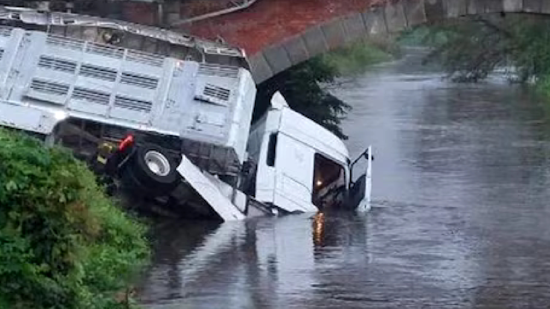 Camion carico di maiali finisce nel fiume Olona: autista salvato in extremis