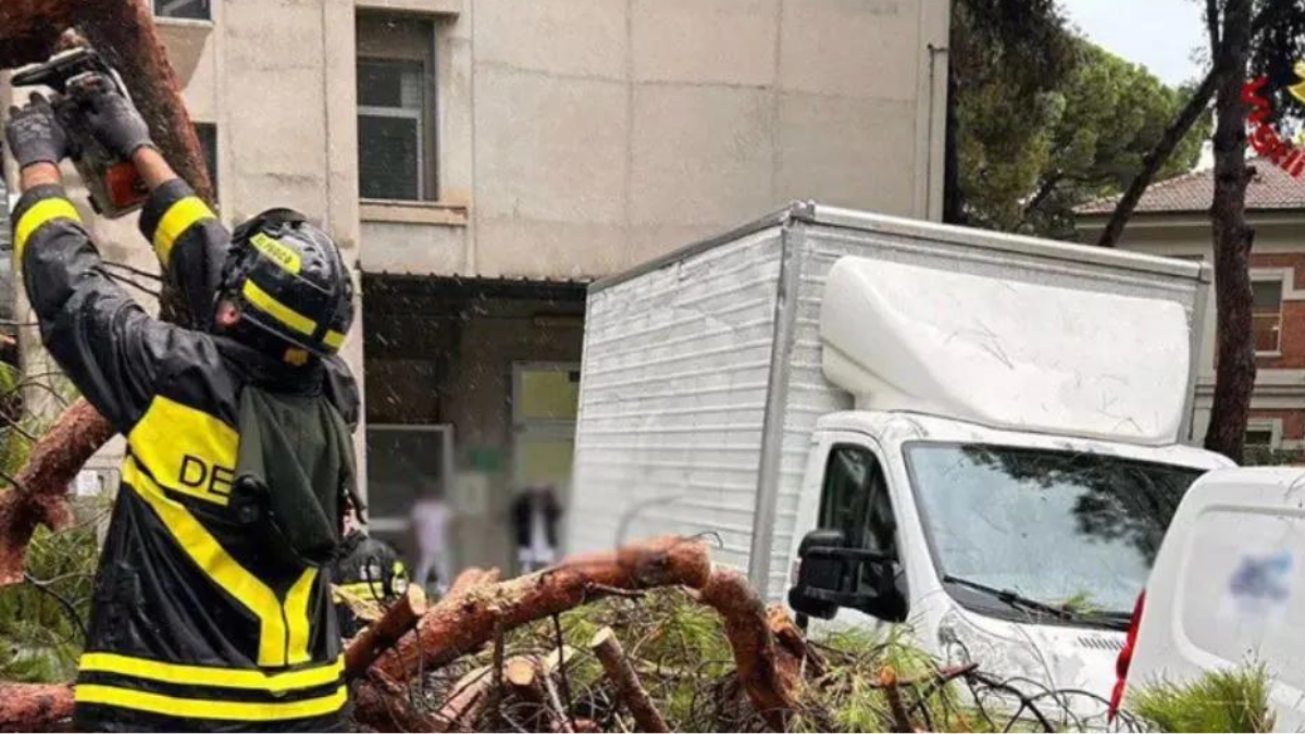 Maltempo, crolla albero su area ospedaliera: la situazione