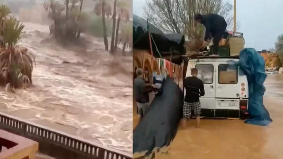 Deserto del Sahara, piogge torrenziali, ci sono vittime. Cammelli e oasi spazzati via