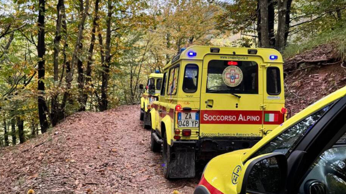 Maltempo, trovato morto Mario Zito disperso da giorni. Due feriti a Milano per la caduta di un albero