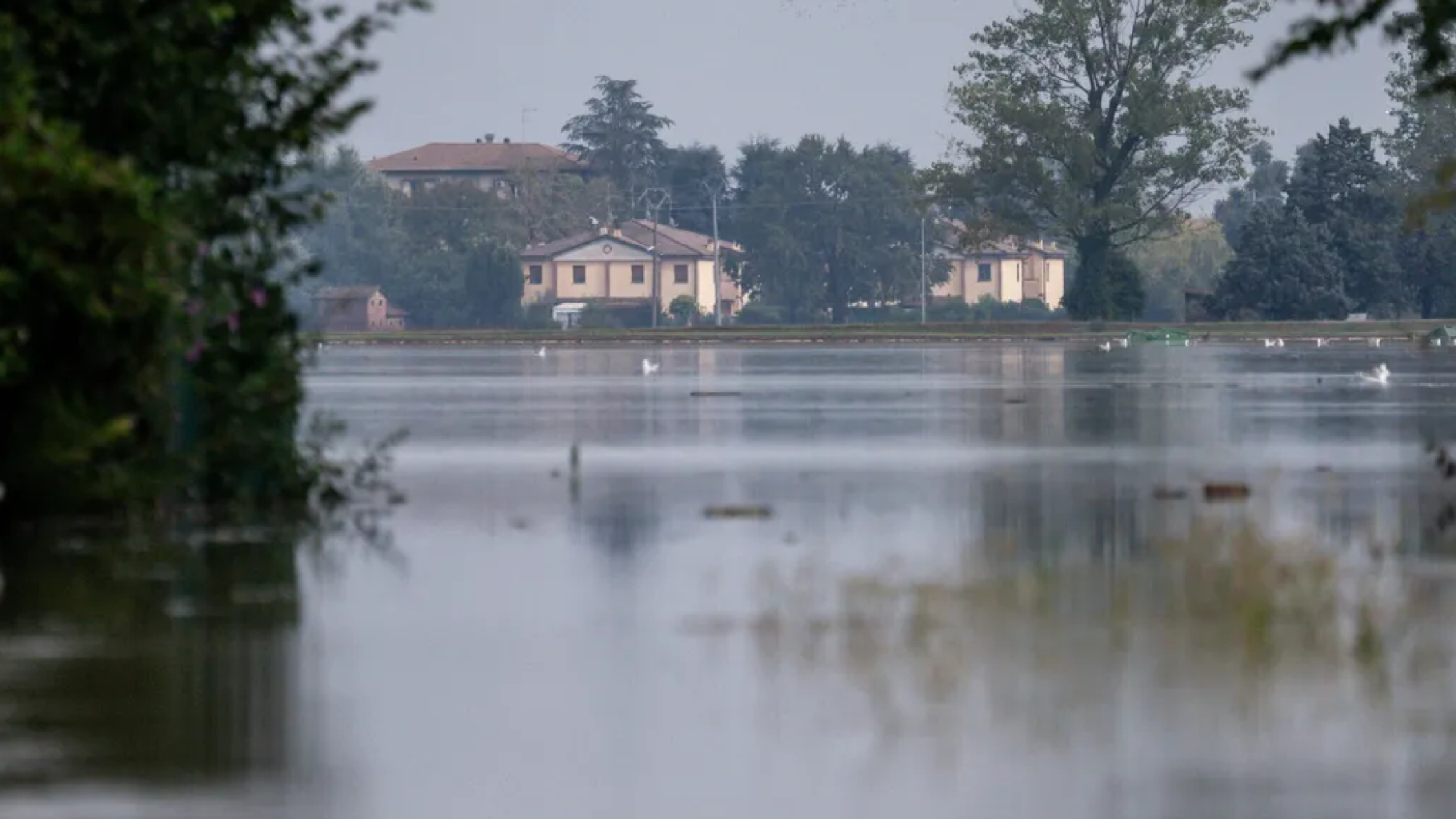 Maltempo flagella il livornese: azienda zootecnica devastata dall’esondazione