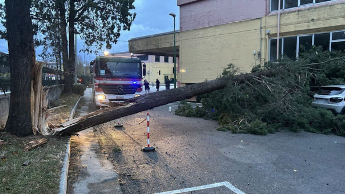 Maltempo in Italia, strade allagate e alberi caduti: è emergenza