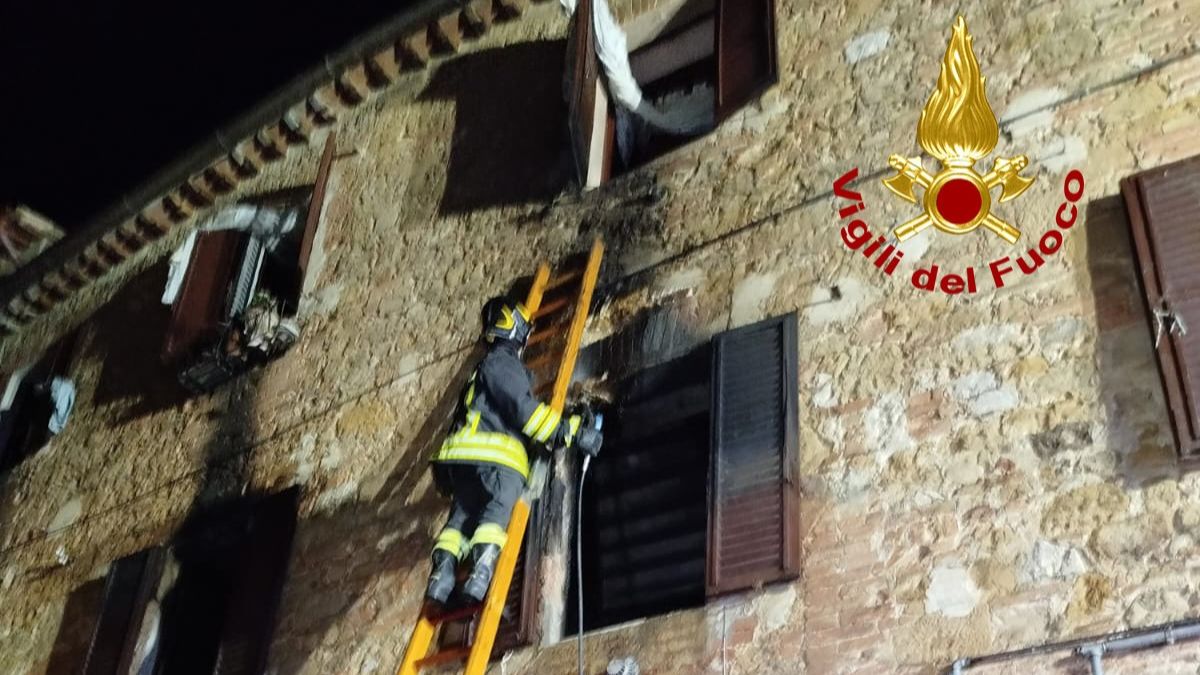 Incendio in un palazzo, salvata un’anziana: trovate in casa le carcasse di 12 cani