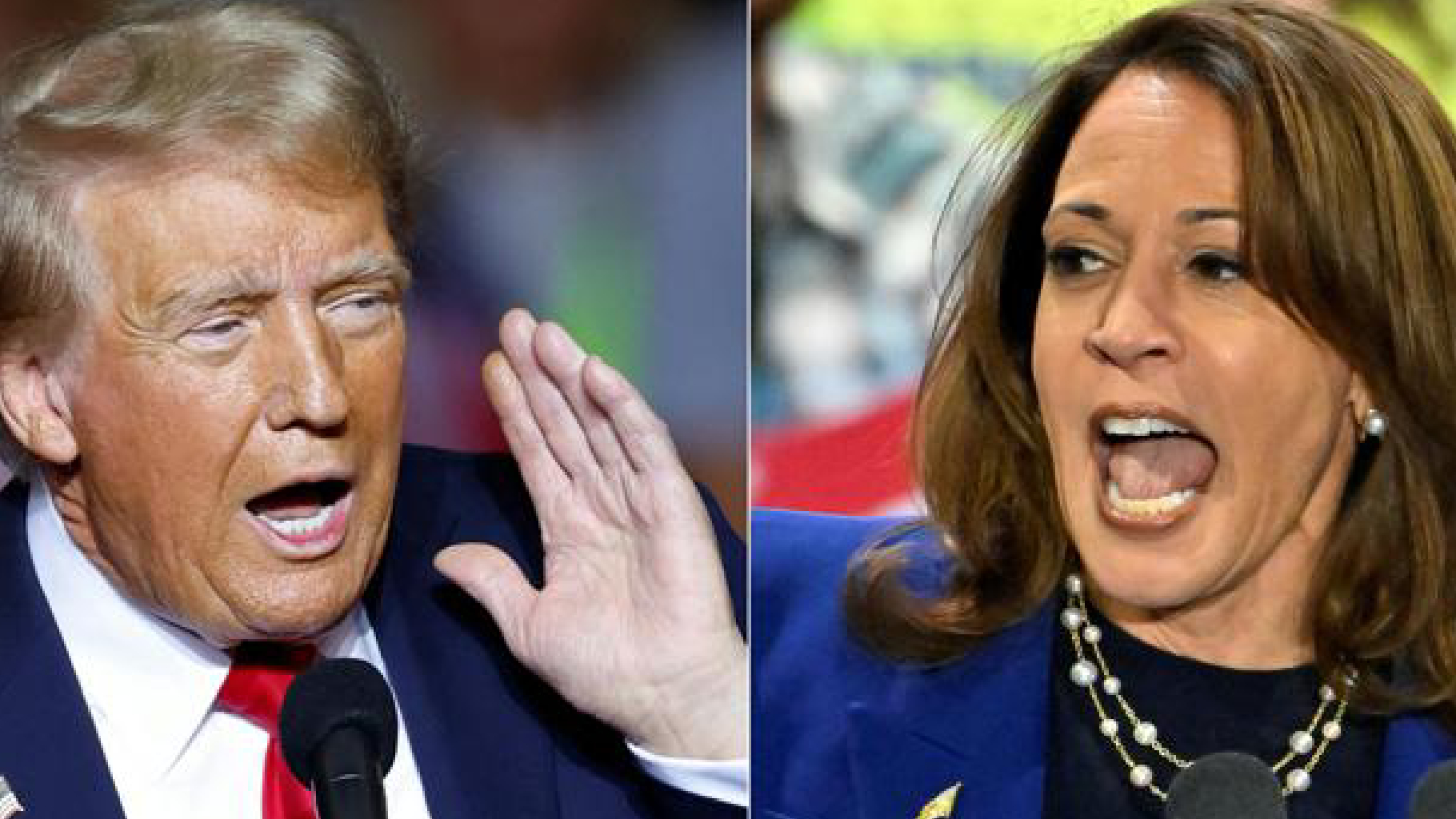 L’ultimo giorno di Trump, ancora shock: “Kamala Harris sul ring con Mike Tyson”