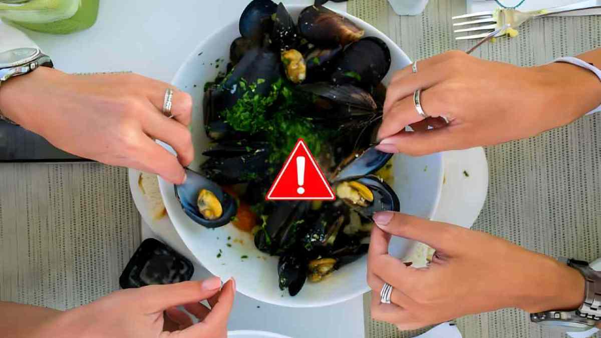 Da dove arrivano (davvero) le cozze che compriamo o mangiamo al ristorante