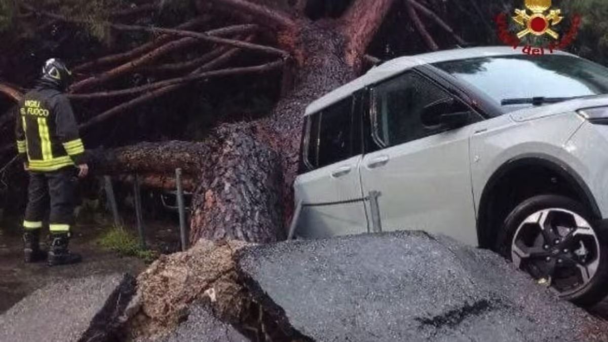 Alberi crollati e famiglie sfollate: emergenza maltempo in Italia, forti disagi