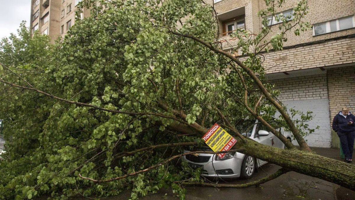 Roma, albero cade su un edificio: si rompe una tubatura del gas