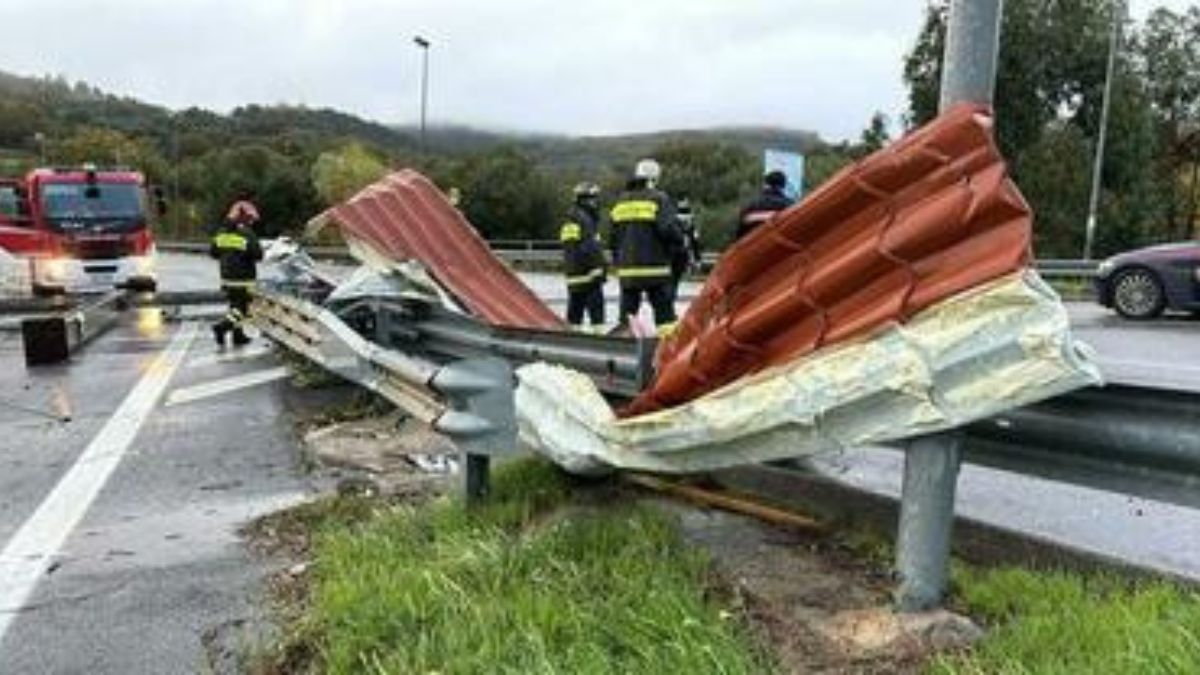 Maltempo e terremoto, il Cilento trema: crollano gli alberi e una tettoia