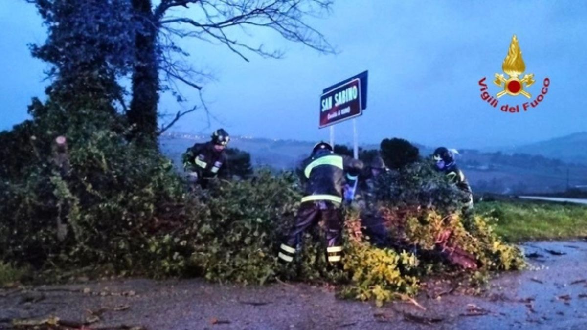 Marche, allerta vento e forti temporali, alberi caduti e numerosi disagi