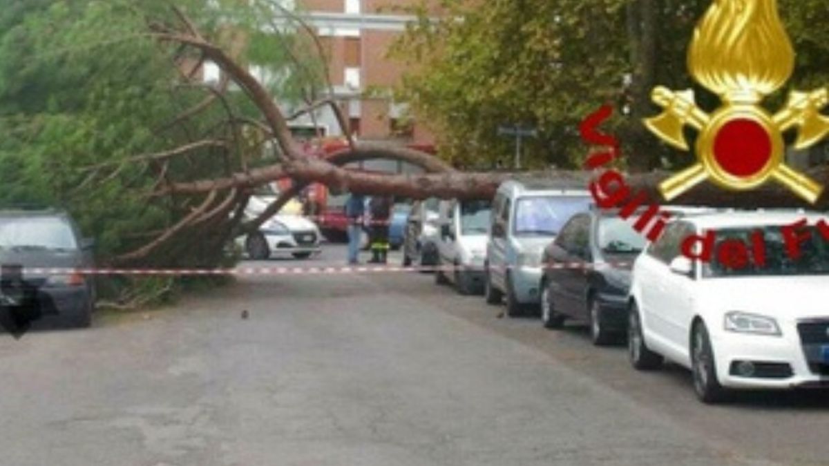 Il vento forte abbatte un albero: morta una donna, ferita un’altra