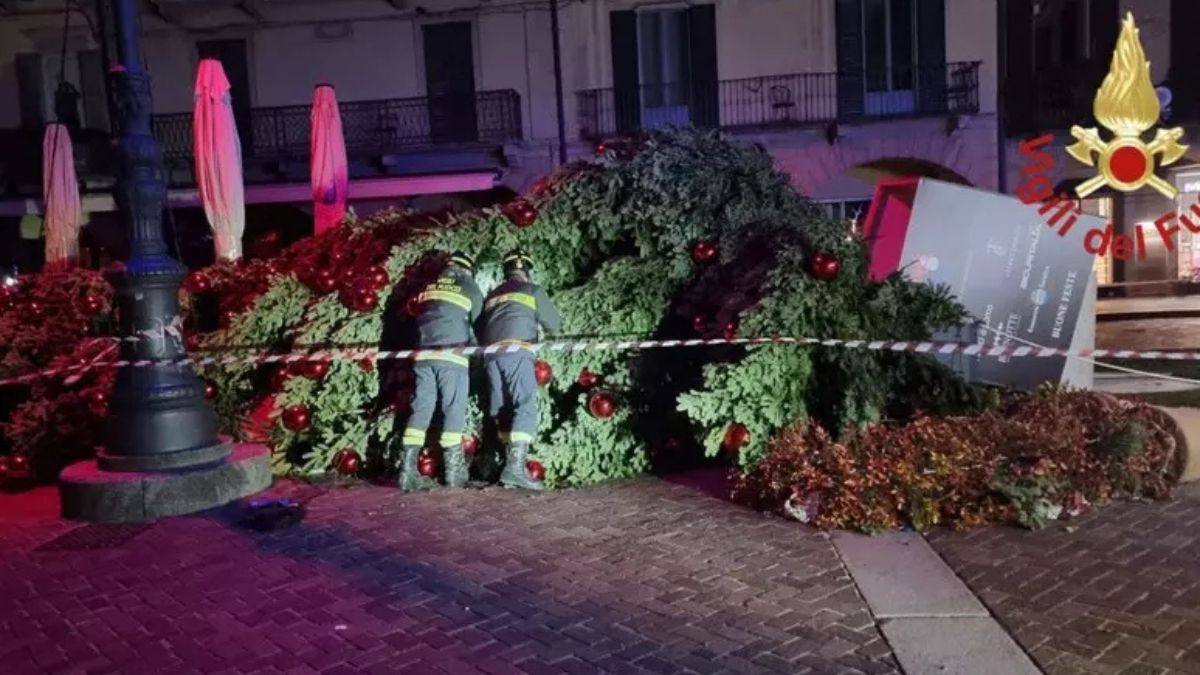 Como, grande albero di Natale cade a causa del forte vento