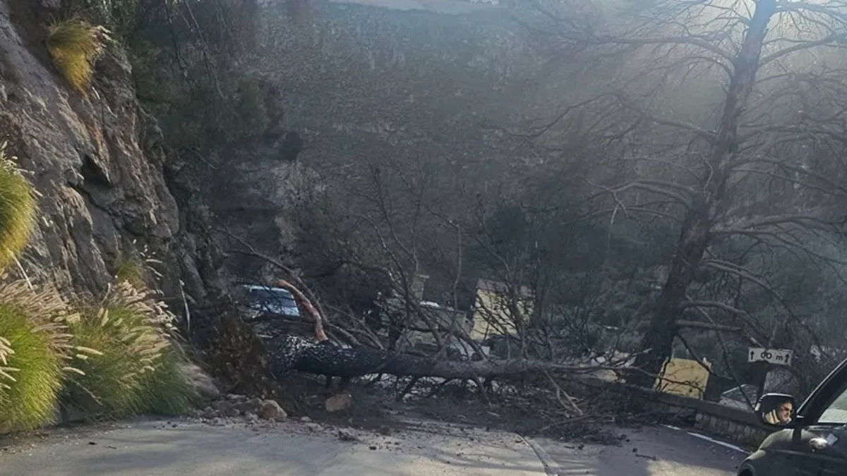 Palermo, vento e disagi: alberi caduti e strade allagate