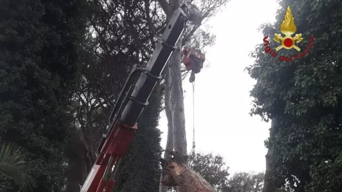 Incidente a Roma: ramo cade su scooter in via Salaria, due feriti