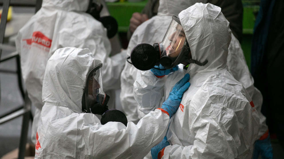 “L’aviaria sarà la nuova pandemia, il virus è anche nel latte”: le note del Ministero e le parole degli esperti