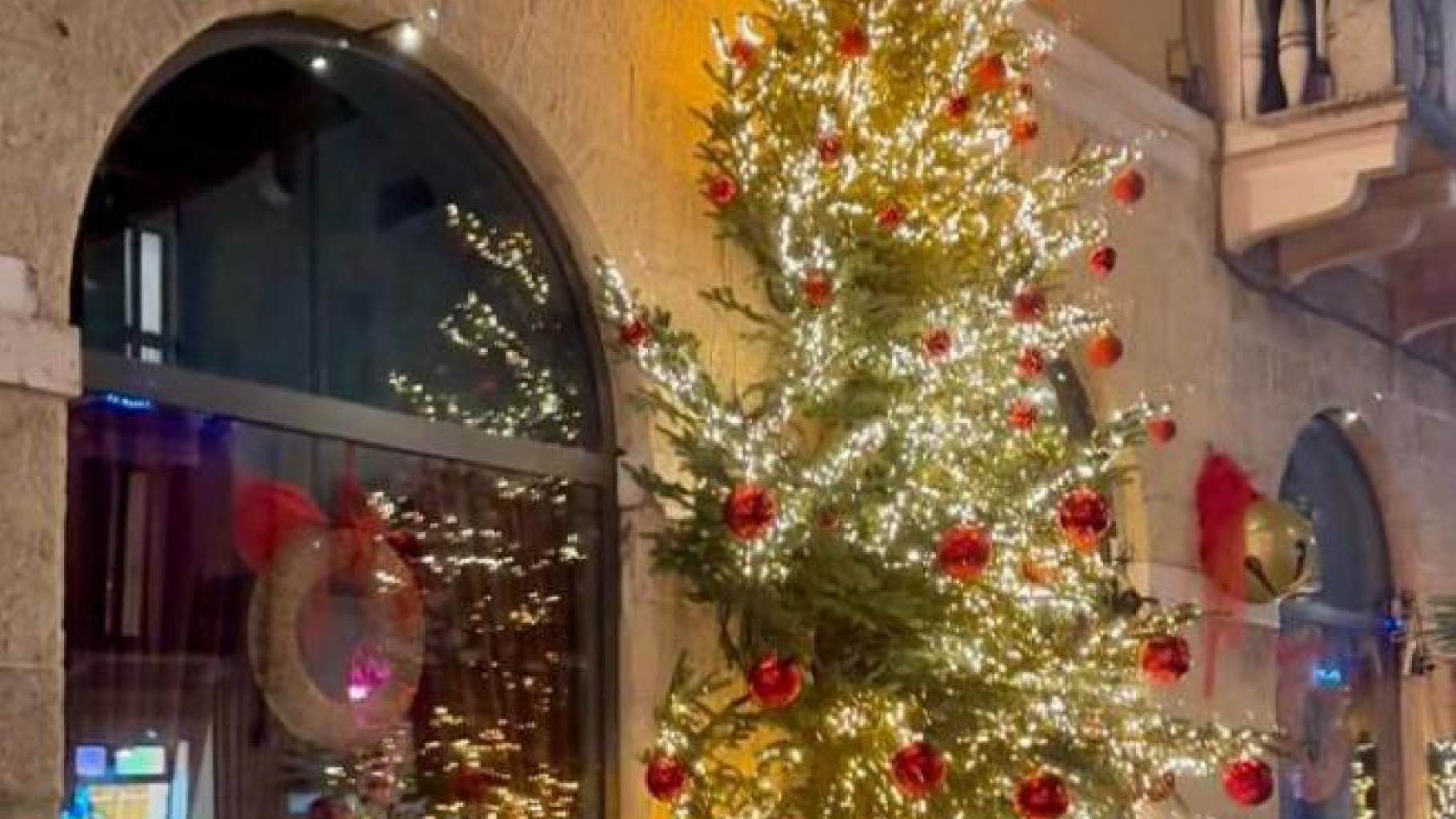 Verona, multa da 400 euro per un albero di Natale troppo grande