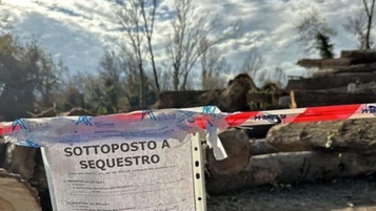 Ucciso da un tronco mentre lavora: dramma a Capannori, morto un 48enne