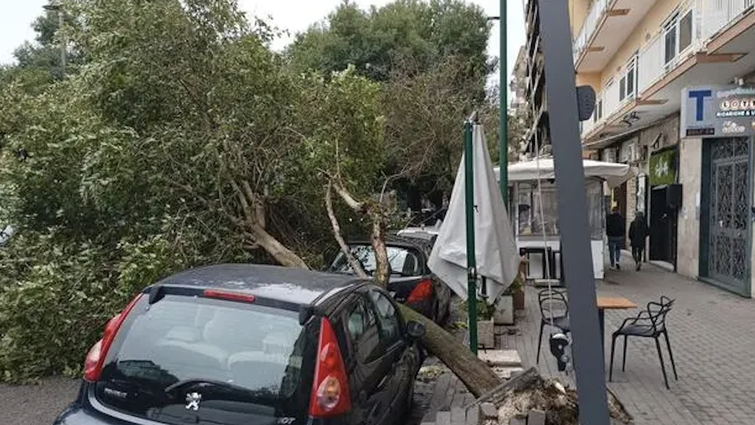 Napoli, cadono due alberi per il vento forte: nessun ferito