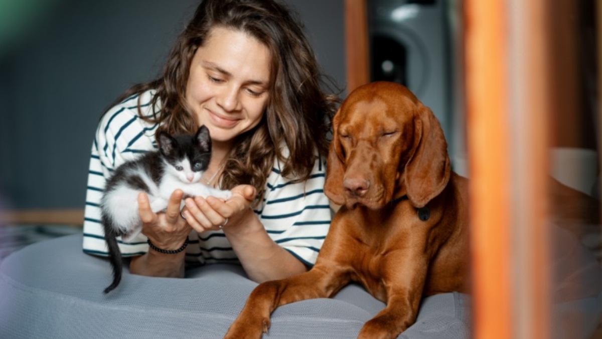 Bonus animali domestici: i requisiti, come richiederlo e ottenerlo (fino a 550 Euro)