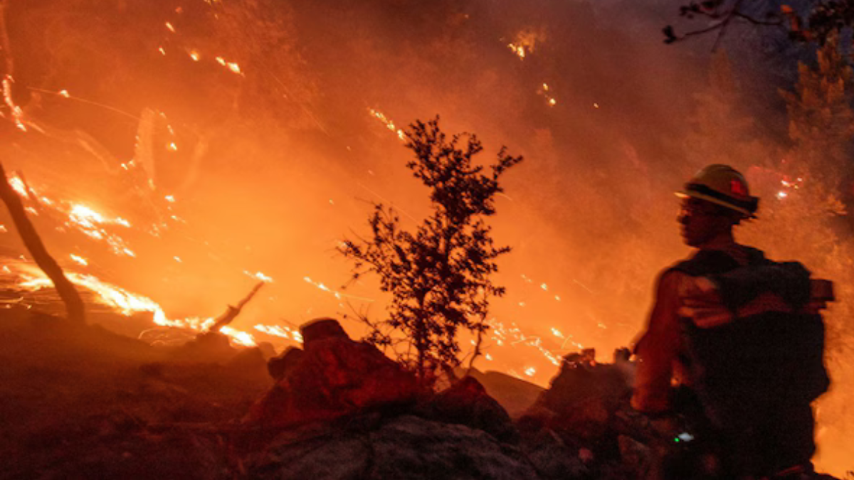 Incendi Los Angeles: almeno 10 morti e 180.000 evacuati, e parte messaggio sbagliato ai residenti