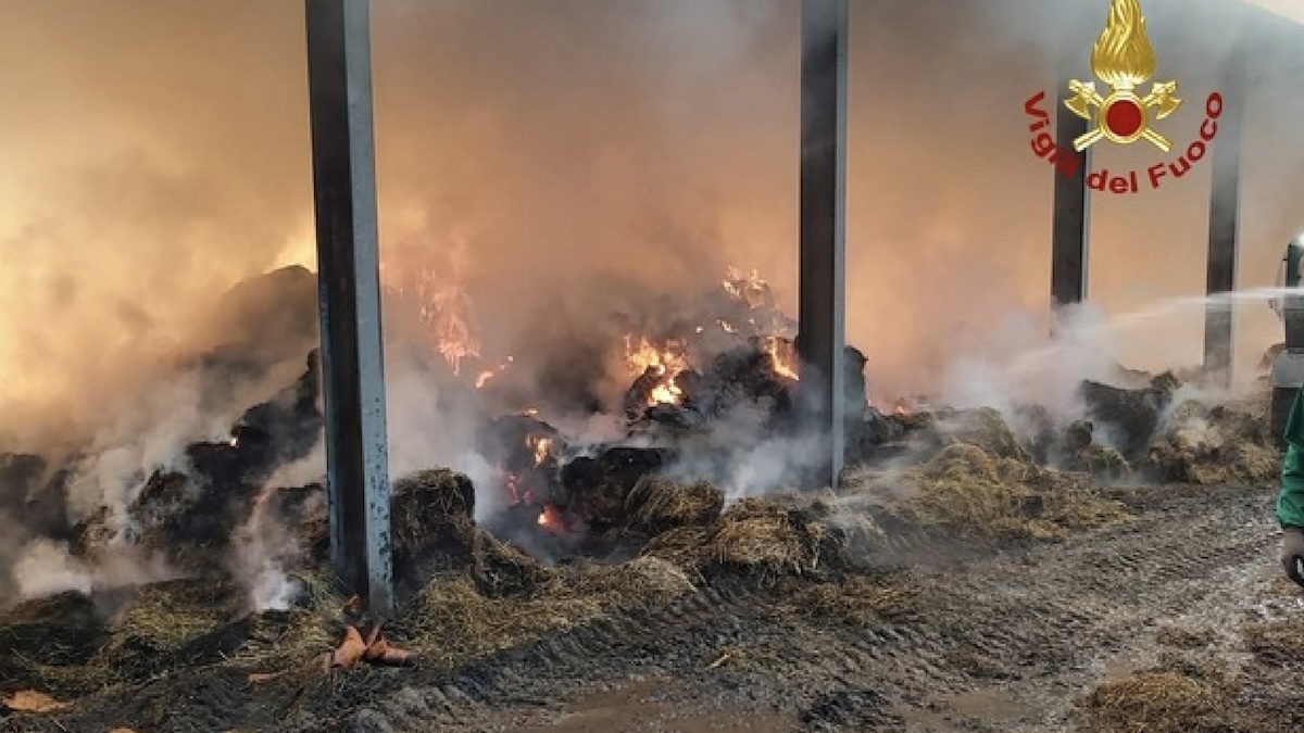 Incendio in un capannone di 1300 metri quadrati di un’azienda agricola: il fuoco ha inghiottito 130 rotoballe di foraggio, mangimi e macchinari