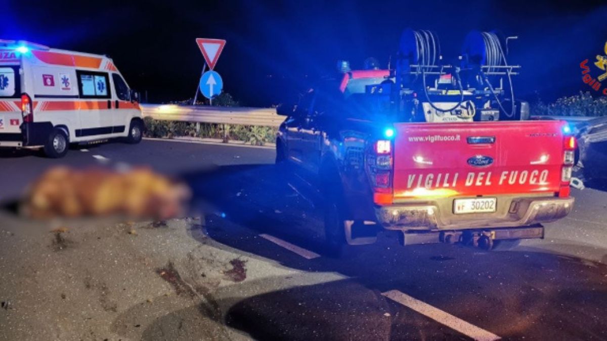 Siracusa–Modica, incidente in autostrada: auto travolgono un bovino, tre donne in ospedale