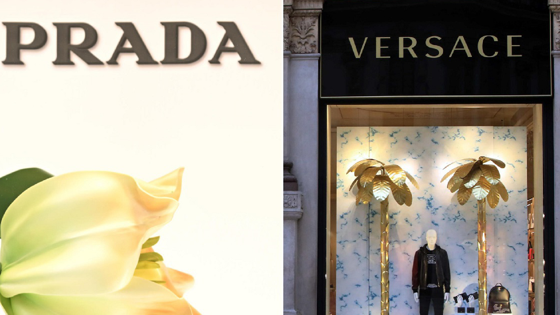 Milano, Prada a un passo da Versace: trattative avanzate per un polo del lusso italiano